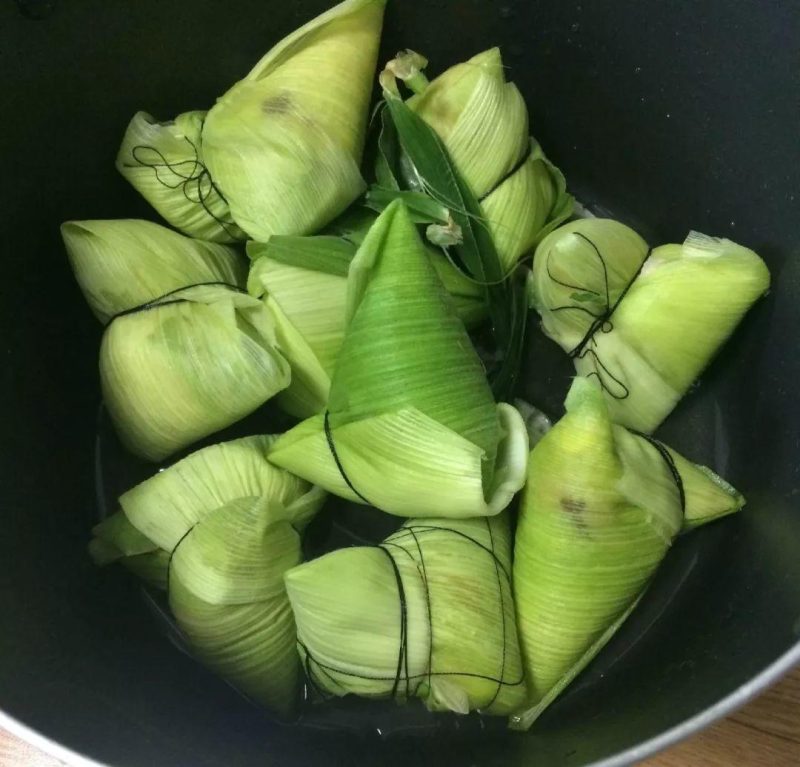 包粽子的粽叶是什么叶子（粽子叶是什么植物的叶子图片）-10